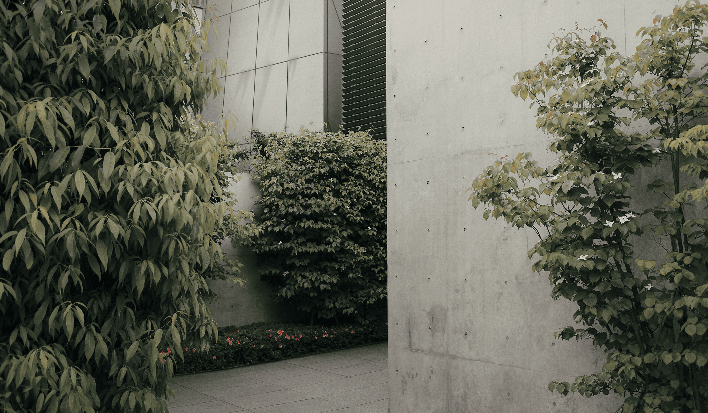 sava-bobov-kQjOclDX_uI-unsplash